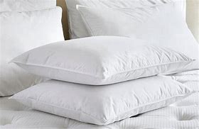 Image result for Sacral Pillow