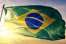 Image result for Brazil Flag