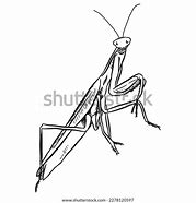 Image result for Praying Mantis Painting