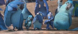 Image result for Rio 2 Animals