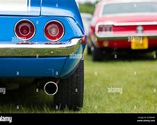 Image result for Germera Rear End