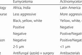 Image result for Actinomycetoma