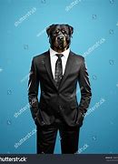 Image result for Dog Man Comody