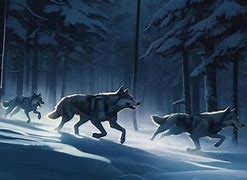 Image result for Scary Wolves