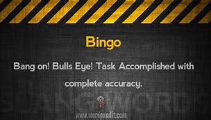 Image result for Bingo Meaning in English