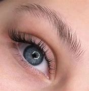 Image result for Eyelash Images