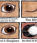 Image result for Eye Anatomy Meme