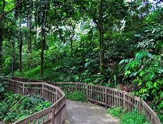 Image result for Nature Reserve Area