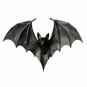 Image result for Dracula Vampire Bat