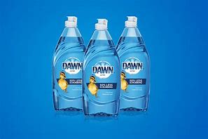 Image result for Dawn Original Dish Soap