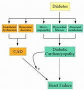 Image result for Diabetes Pathway