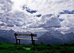 Image result for Bench Nature