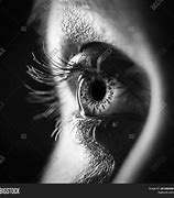 Image result for Macro Eye Photography Black and White