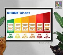 Image result for Cat Body Weight Chart