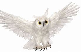 Image result for Flying Owl Prop