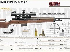 Image result for Springfield M21