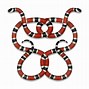 Image result for Gucci Snake PNG