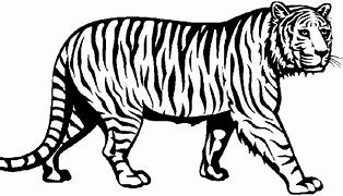 Image result for White Tiger Clip Art