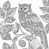 Image result for Snowy Owl Black and White Drawing