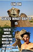 Image result for That Dam Camel Hump Day