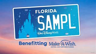 Image result for Walt Disney World New License Plate