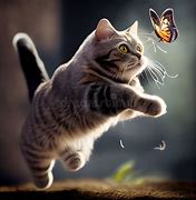 Image result for Cat Ctch Butteerfly