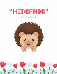 Image result for Hedgehog Worksheet