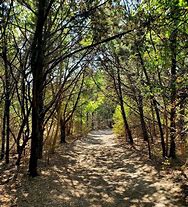 Image result for Cedar Ridge Preserve Dallas