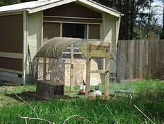 Image result for Chicken Pen Ideas