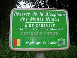 Image result for Mount Nimba Strict Nature Reserve