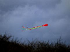 Image result for Windy Day Kite