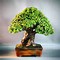 Image result for Jade Bonsai