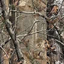 Image result for Realtree Orange Camo