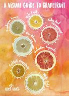 Image result for Different Kinds of Grapefruit