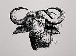 Image result for Buffalo Head Art