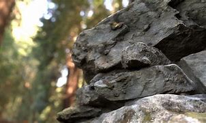 Image result for Rock Pile Set Up