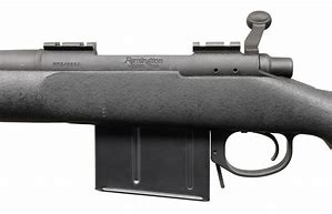 Image result for Remington 700 MLR