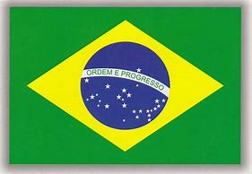 Image result for Brazil Flag