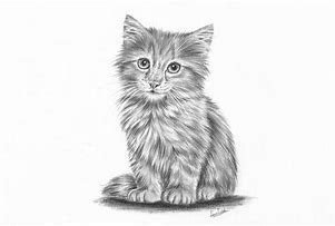 Image result for Catman Drawing