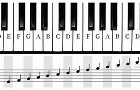 Image result for Keyboard Keys Labelled