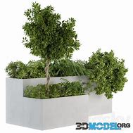 Image result for Outdoor Boxit Plant