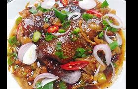 Image result for Cá Lóc Mắt Đỏ