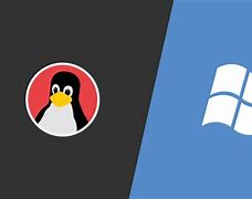 Image result for Linux Windows Logo