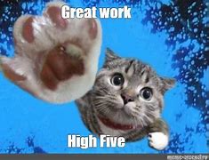 Image result for Good Job Cat Meme