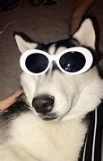 Image result for Aesthetic PFP Husky and Wolf