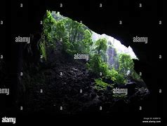 Image result for Garden of Eden in Deer Cave