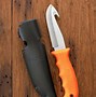 Image result for CUTCO Knife 1724