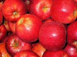 Image result for Pome Fruit Farm