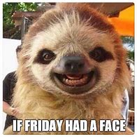 Image result for Happy Friday Cute Animals