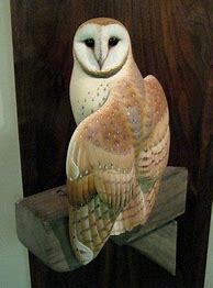 Image result for Barn Owl Wood Carving